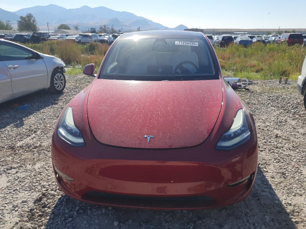 TESLA MODEL Y 2021