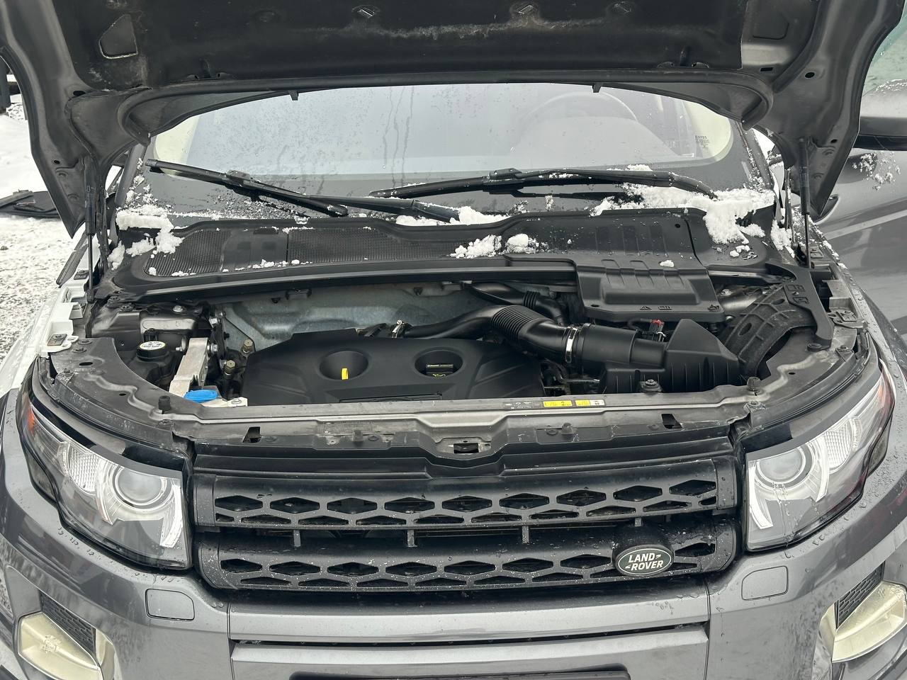 LAND ROVER RANGE ROVER EVOQUE PURE PLUS 2015