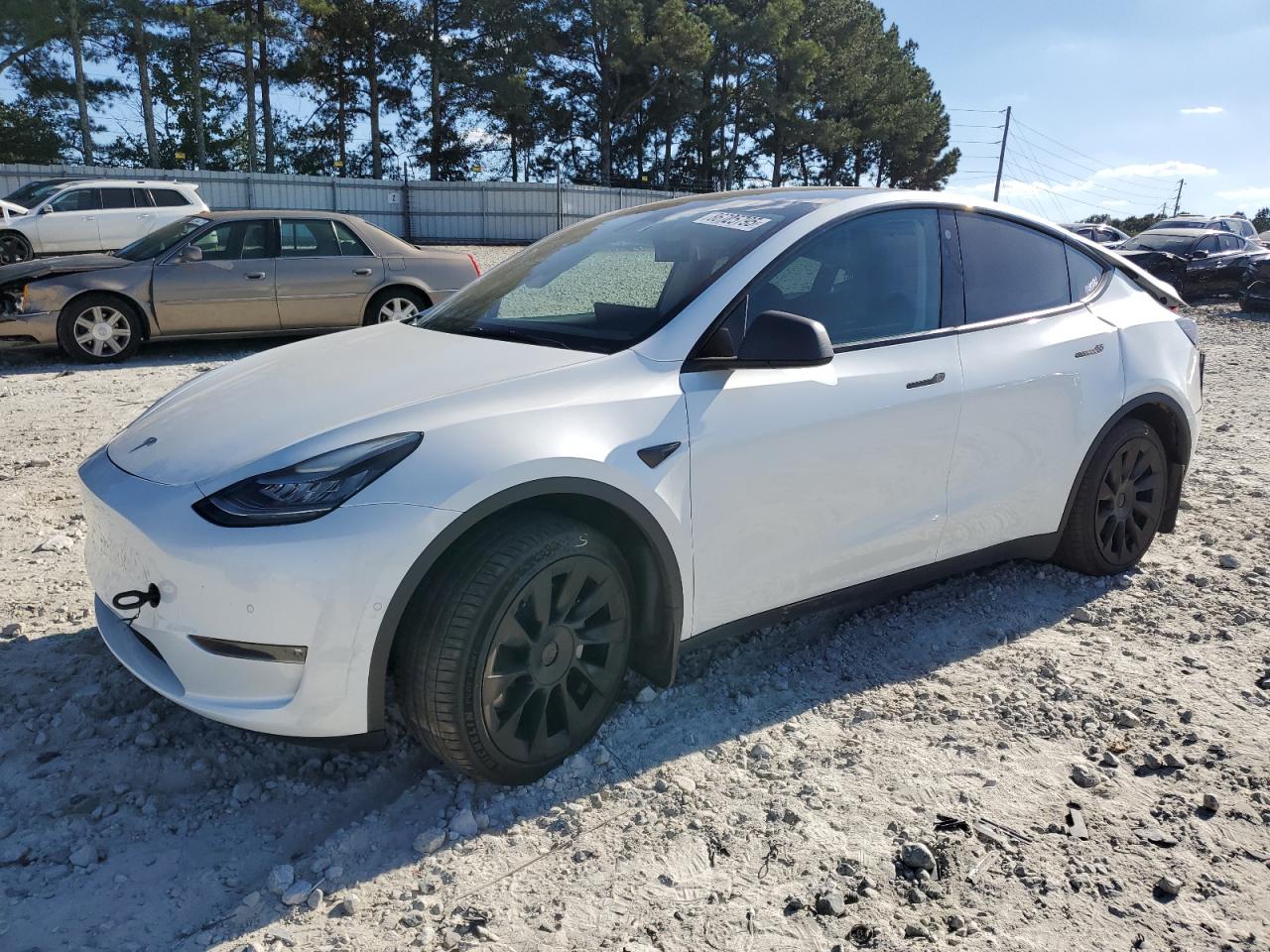 TESLA MODEL Y STANDARD 2021