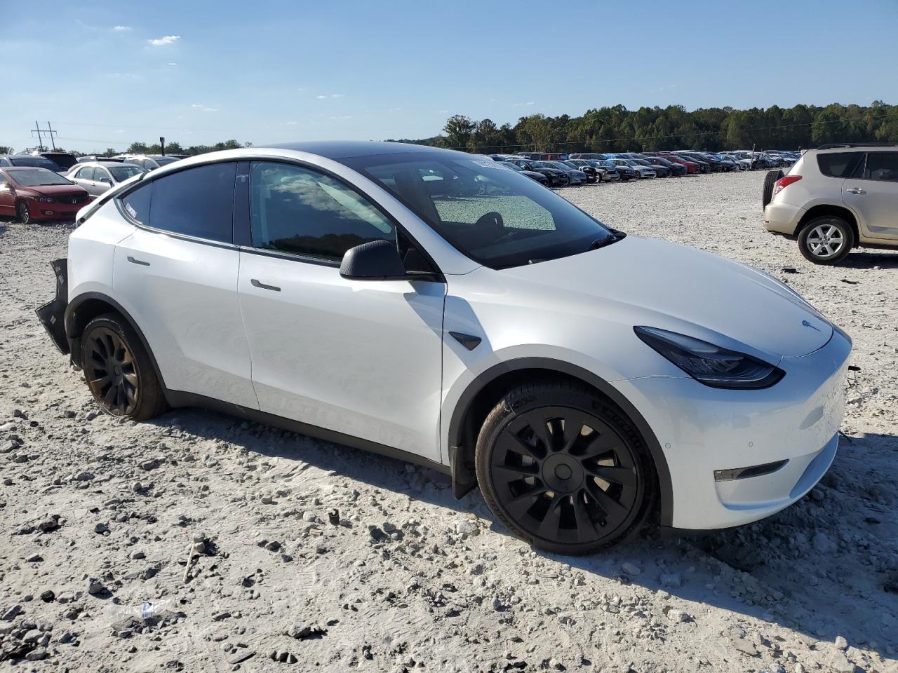 TESLA MODEL Y STANDARD 2021