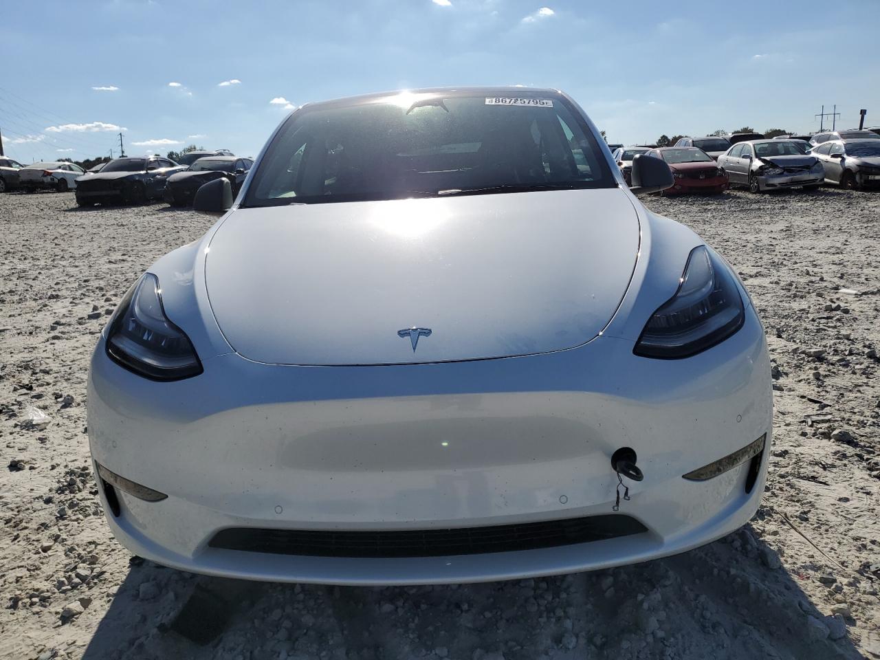 TESLA MODEL Y STANDARD 2021