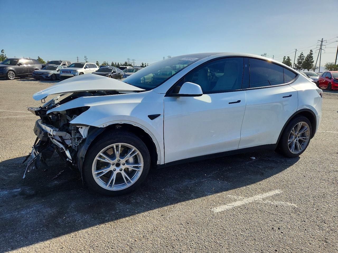 TESLA MODEL Y RWD 2023