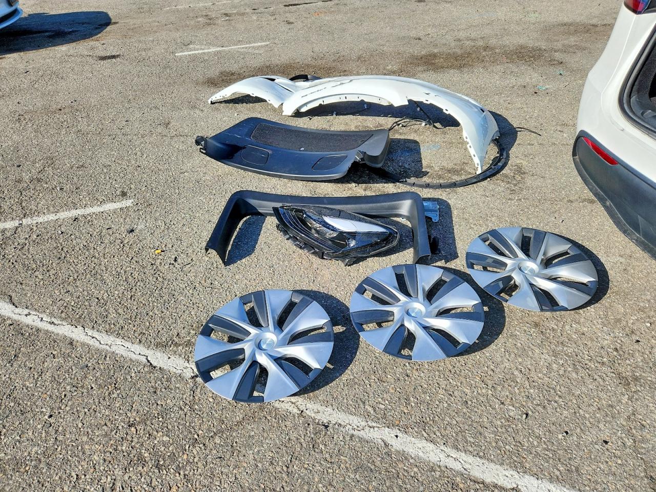 TESLA MODEL Y RWD 2023