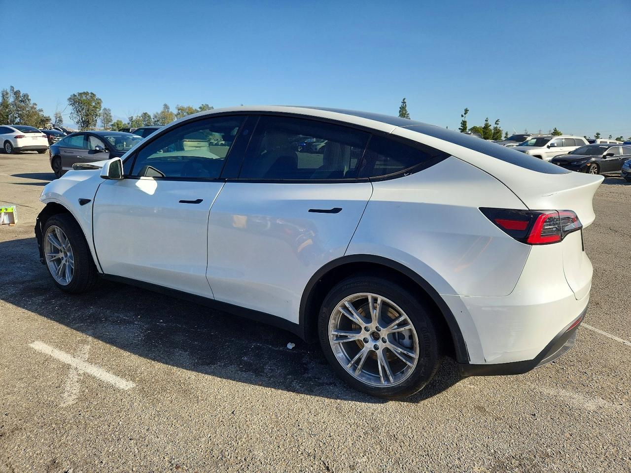 TESLA MODEL Y RWD 2023