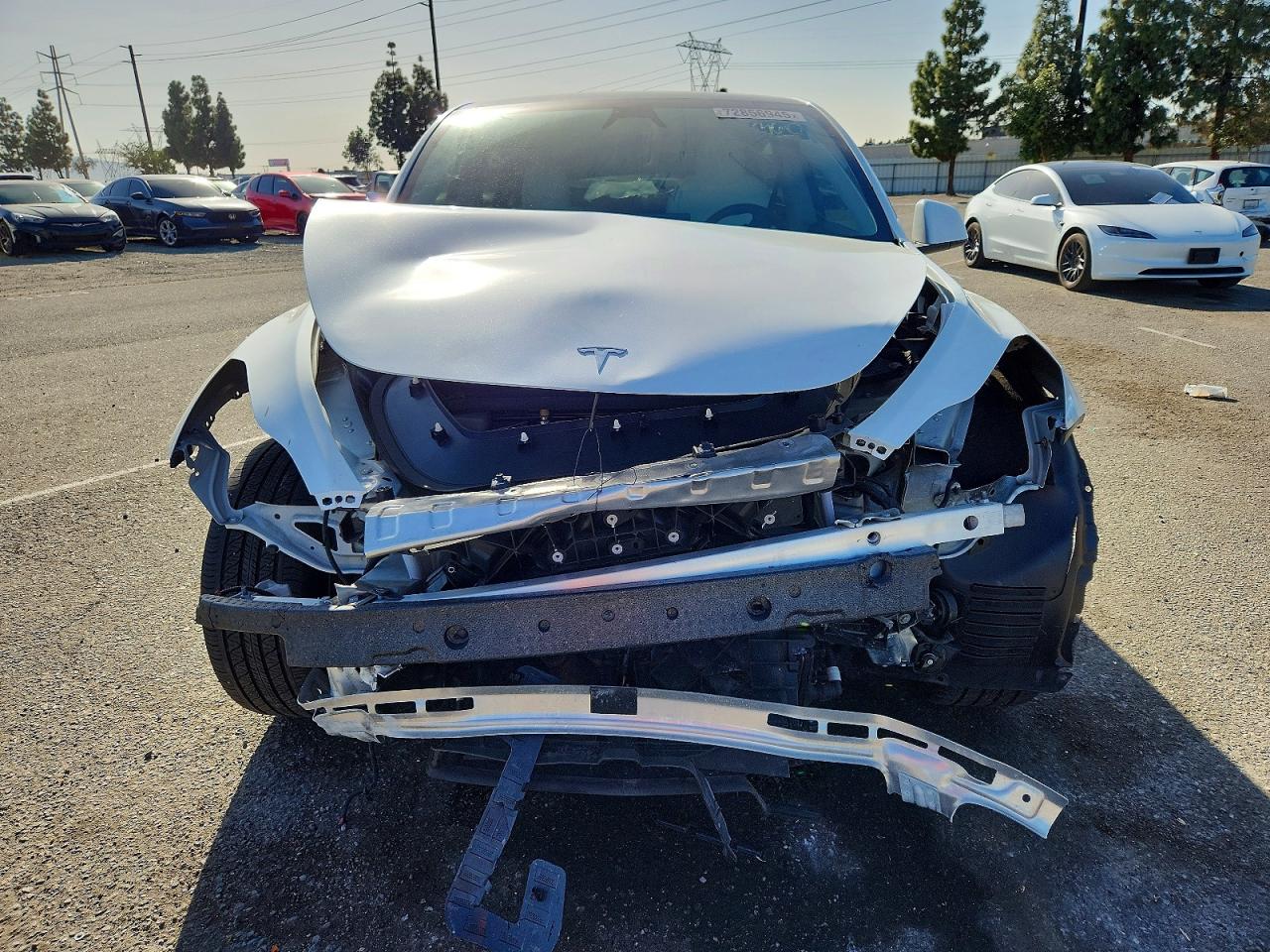 TESLA MODEL Y RWD 2023