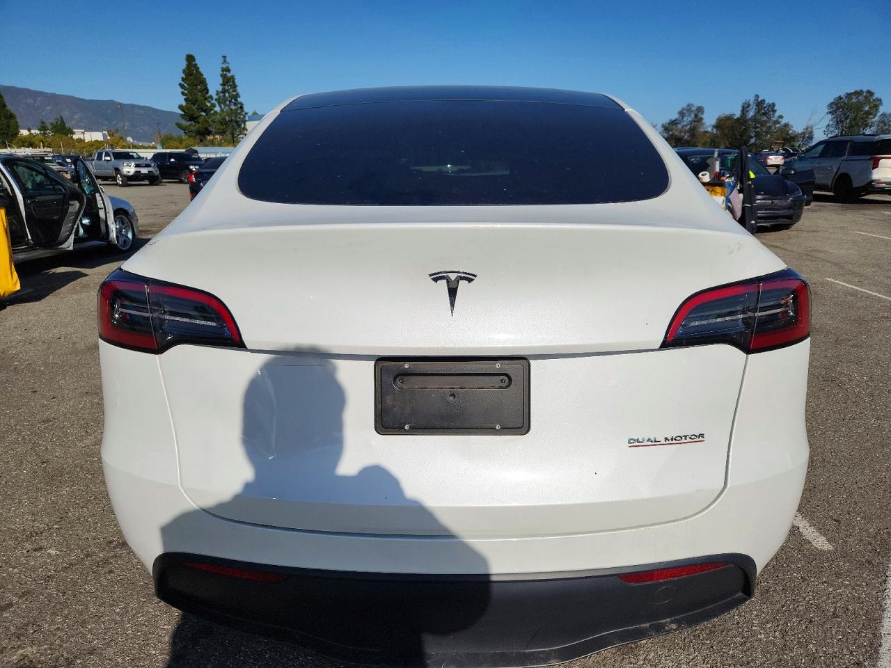 TESLA MODEL Y RWD 2023