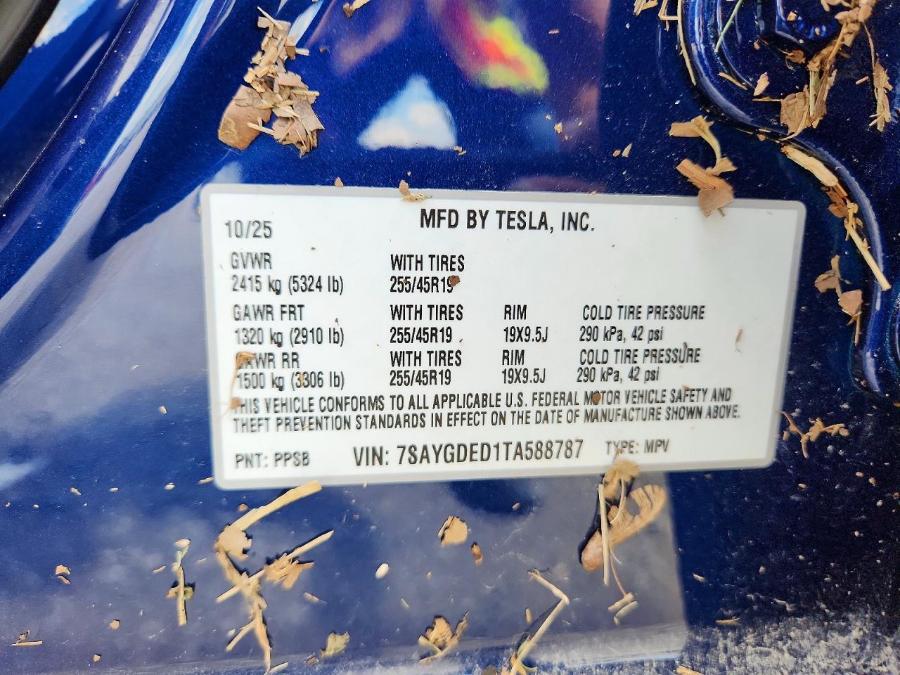 TESLA MODEL Y 2025