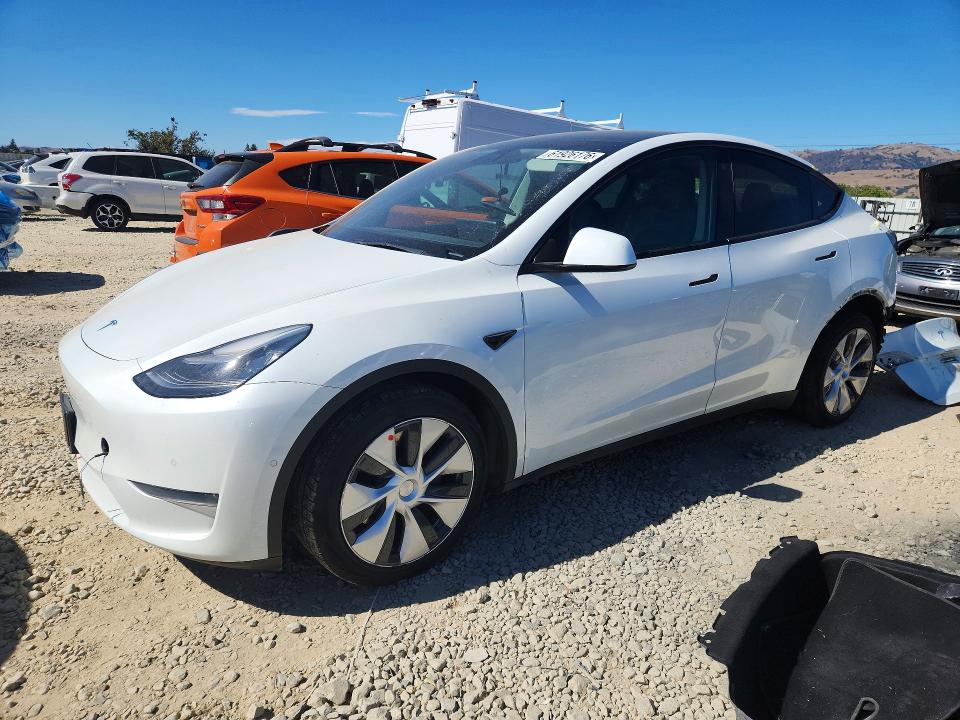 TESLA MODEL Y 2020