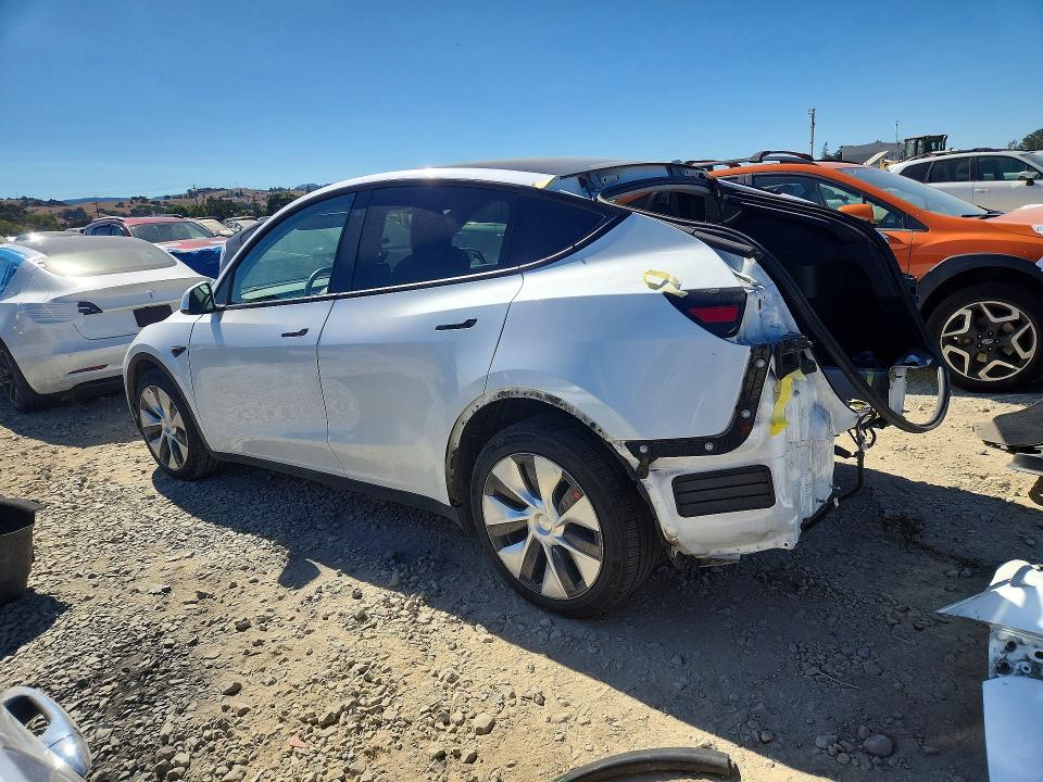 TESLA MODEL Y 2020
