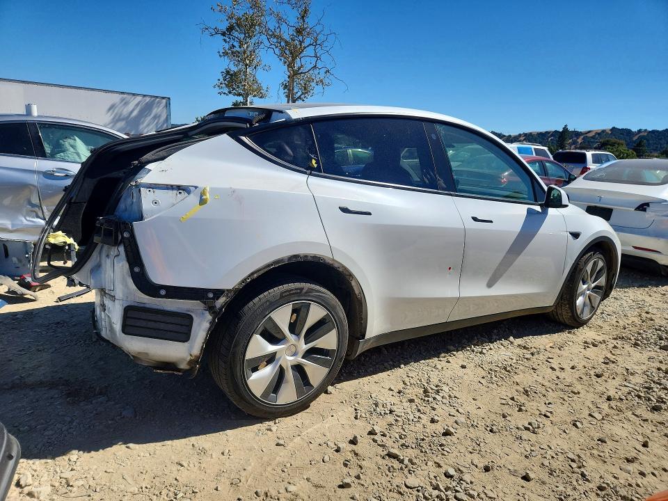 TESLA MODEL Y 2020