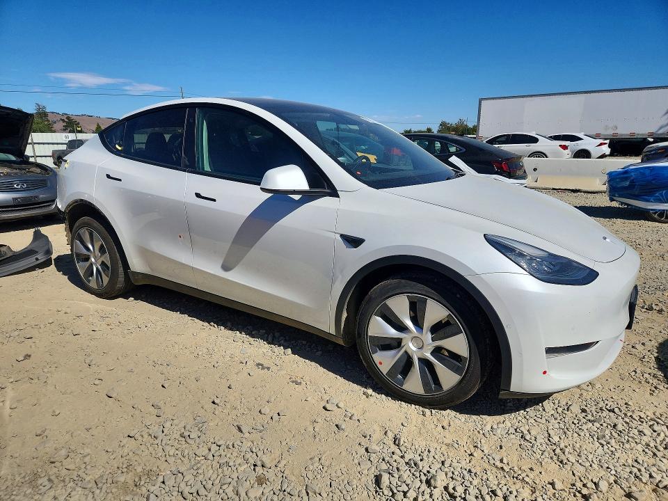 TESLA MODEL Y 2020
