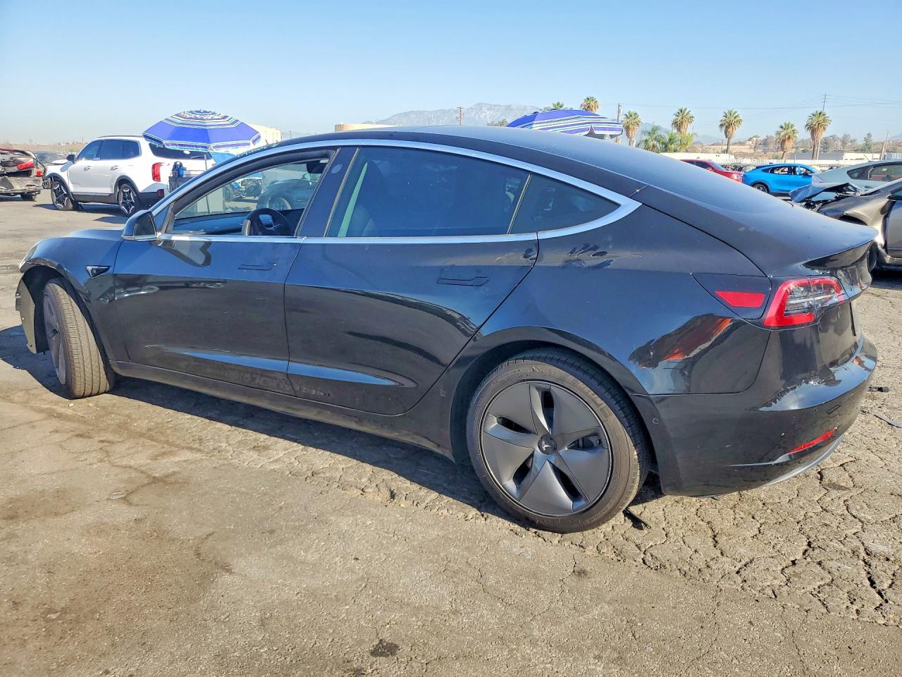TESLA MODEL 3 2020