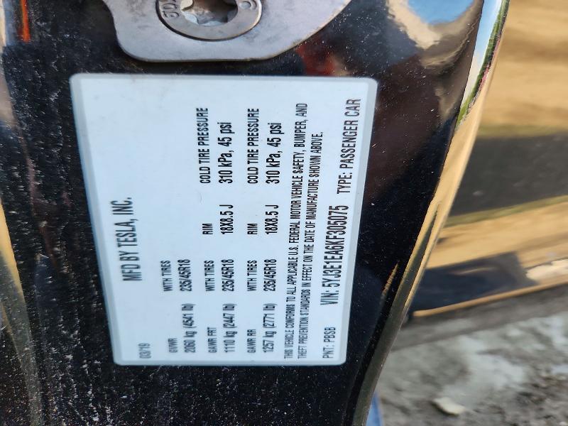 TESLA MODEL 3 2019