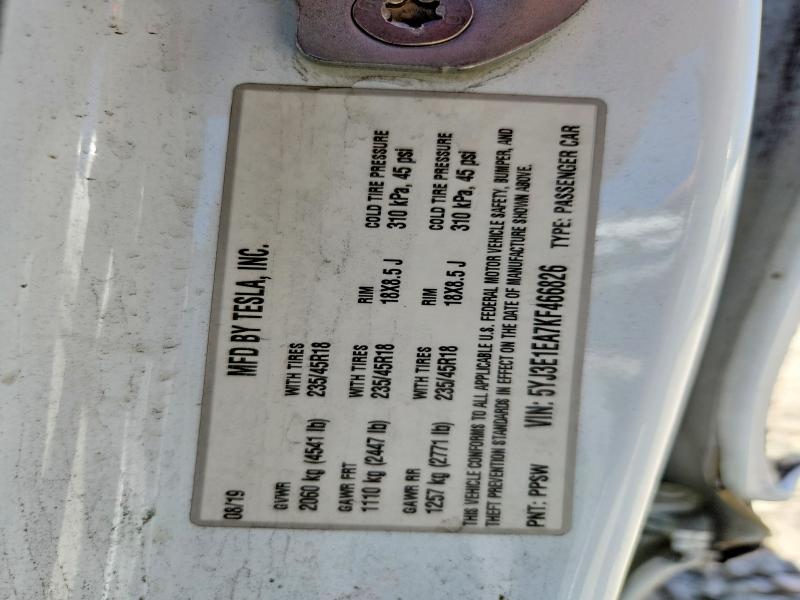 TESLA MODEL 3 2019